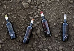 Wine Taste and Alcantara Gorges 10