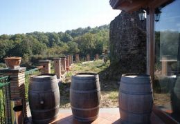 Wine Taste and Alcantara Gorges 04