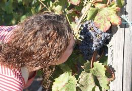 Wine Taste and Alcantara Gorges 03