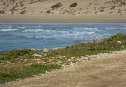 Montalbano Tour 11