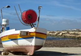 Montalbano Tour 17